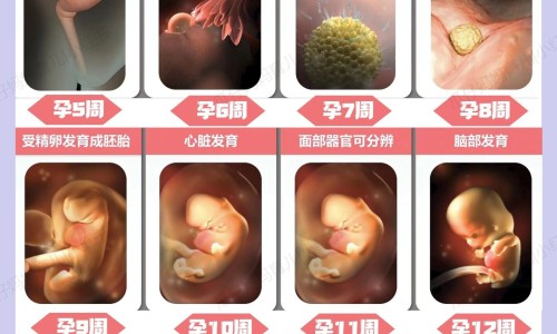 孕妇天天坐电梯有辐射吗-孕妇天天对着电脑手机网 - 孕妇天天肚子疼是怎么回事,孕妇整天对着电脑对胎儿有啥影响